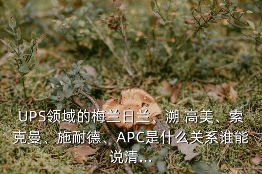 UPS領(lǐng)域的梅蘭日蘭、溯 高美、索克曼、施耐德、APC是什么關(guān)系誰能說清...