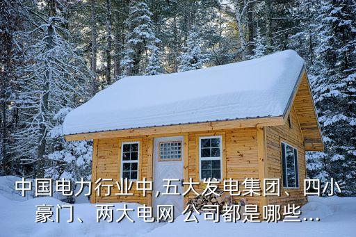中國(guó)電力行業(yè)中,五大發(fā)電集團(tuán)、四小豪門(mén)、兩大電網(wǎng) 公司都是哪些...