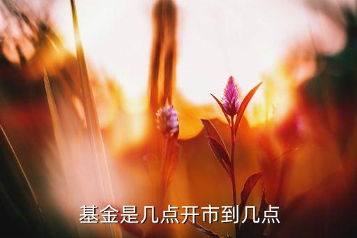  基金是幾點(diǎn)開市到幾點(diǎn)