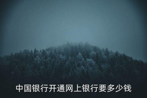 中國(guó)銀行開通網(wǎng)上銀行要多少錢