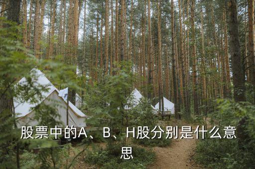  股票中的A、B、H股分別是什么意思
