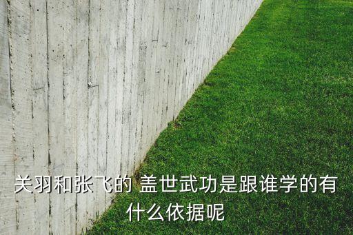 關(guān)羽和張飛的 蓋世武功是跟誰(shuí)學(xué)的有什么依據(jù)呢