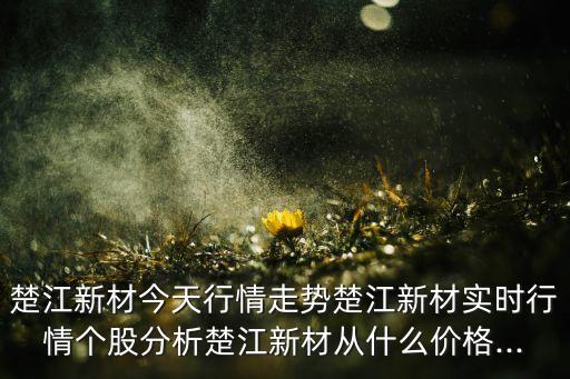 楚江新材今天行情走勢楚江新材實(shí)時行情個股分析楚江新材從什么價格...