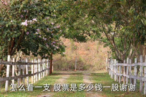 怎么看一支 股票是多少錢(qián)一股謝謝
