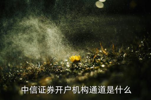  中信證券開(kāi)戶機(jī)構(gòu)通道是什么