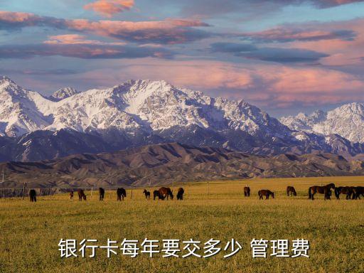  銀行卡每年要交多少 管理費