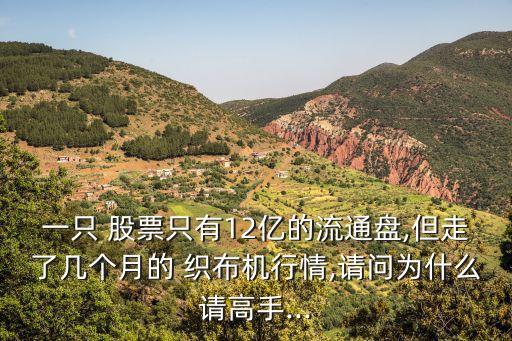 一只 股票只有12億的流通盤(pán),但走了幾個(gè)月的 織布機(jī)行情,請(qǐng)問(wèn)為什么請(qǐng)高手...
