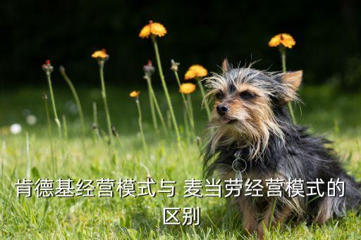 中國的麥當勞市場分析,麥當勞PEST市場分析