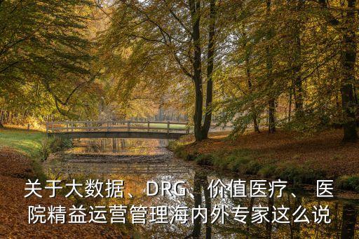關(guān)于大數(shù)據(jù)、DRG、價(jià)值醫(yī)療、 醫(yī)院精益運(yùn)營(yíng)管理海內(nèi)外專家這么說(shuō)