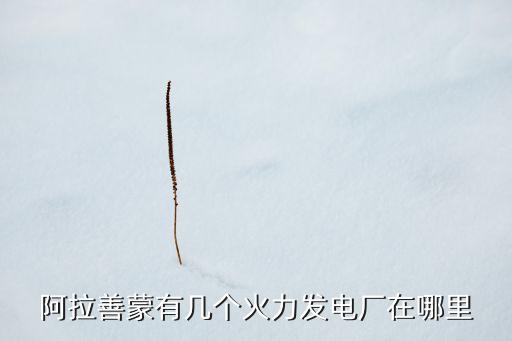 阿拉善蒙有幾個(gè)火力發(fā)電廠(chǎng)在哪里