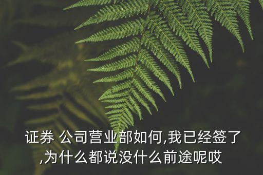  證券 公司營(yíng)業(yè)部如何,我已經(jīng)簽了,為什么都說(shuō)沒(méi)什么前途呢哎