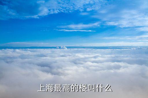 誰設(shè)計了上海弟一高樓