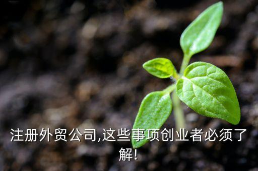 注冊外貿(mào)公司,這些事項(xiàng)創(chuàng)業(yè)者必須了解!