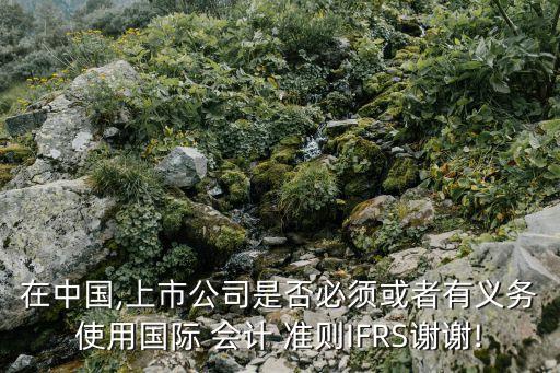 在中國,上市公司是否必須或者有義務(wù)使用國際 會計 準(zhǔn)則IFRS謝謝!