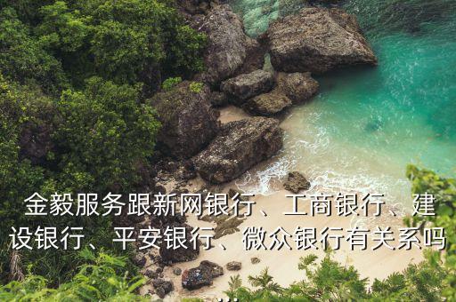  金毅服務(wù)跟新網(wǎng)銀行、工商銀行、建設(shè)銀行、平安銀行、微眾銀行有關(guān)系嗎...