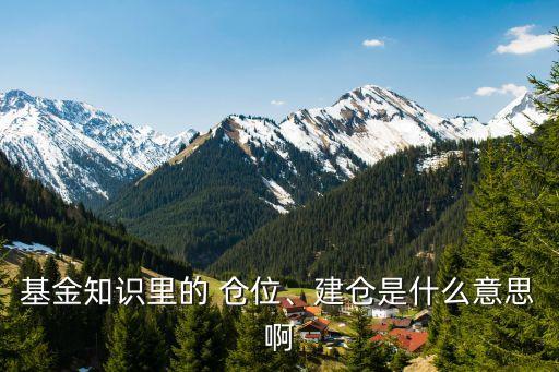 基金知識(shí)里的 倉(cāng)位、建倉(cāng)是什么意思啊