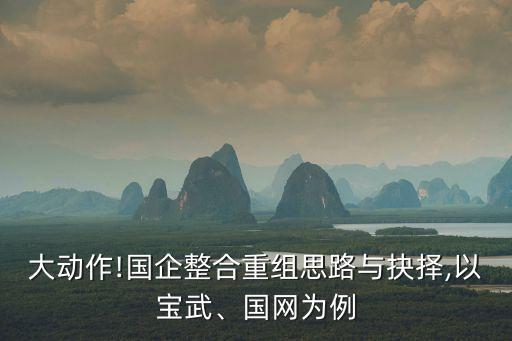 大動作!國企整合重組思路與抉擇,以寶武、國網(wǎng)為例