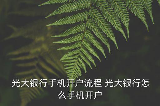  光大銀行手機(jī)開(kāi)戶(hù)流程 光大銀行怎么手機(jī)開(kāi)戶(hù)
