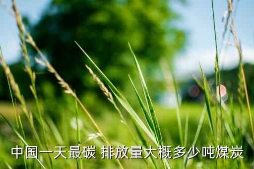 中國(guó)一天最碳 排放量大概多少?lài)嵜禾? class=