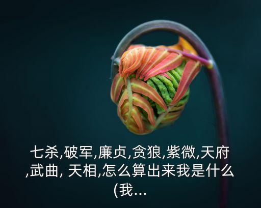七殺,破軍,廉貞,貪狼,紫微,天府,武曲, 天相,怎么算出來(lái)我是什么(我...