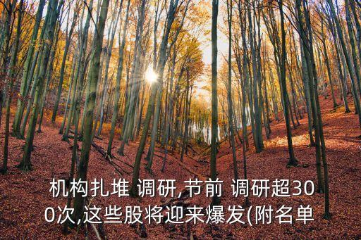機(jī)構(gòu)調(diào)研最多的公司,2023機(jī)構(gòu)調(diào)研最多的公司是哪個