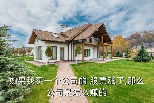 如果我買(mǎi)一個(gè)公司的 股票漲了,那么公司是怎么賺的
