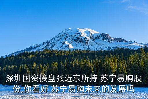 深圳國(guó)資接盤張近東所持 蘇寧易購(gòu)股份,你看好 蘇寧易購(gòu)未來的發(fā)展嗎
