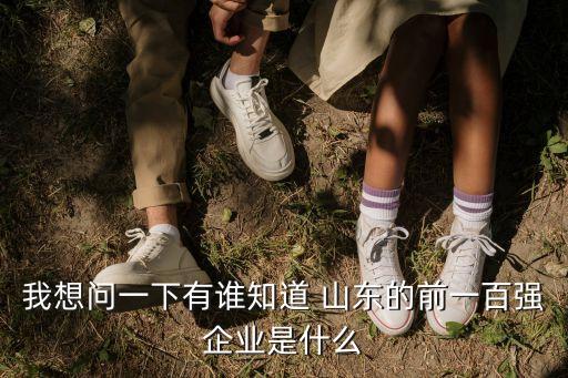 我想問一下有誰知道 山東的前一百?gòu)?qiáng)企業(yè)是什么