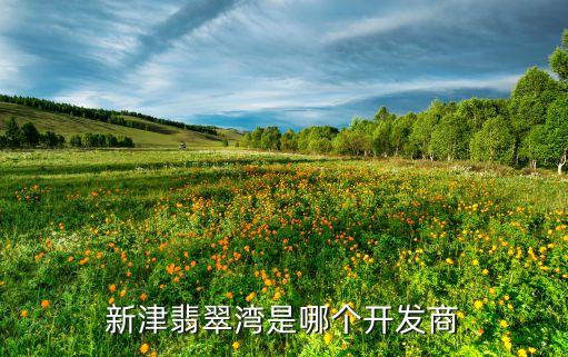 成都成商地產有限公司,成都上程數據有限公司