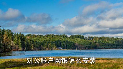 對(duì)公賬戶(hù)網(wǎng)銀怎么安裝