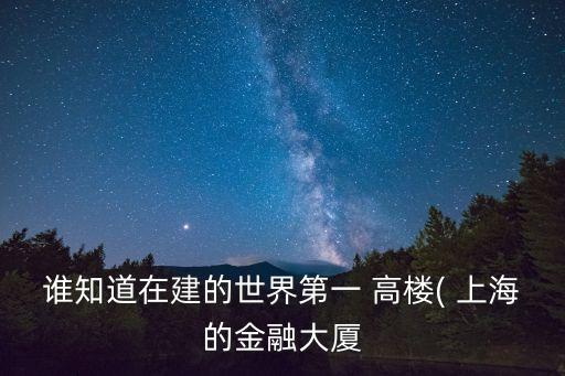 誰(shuí)知道在建的世界第一 高樓( 上海的金融大廈
