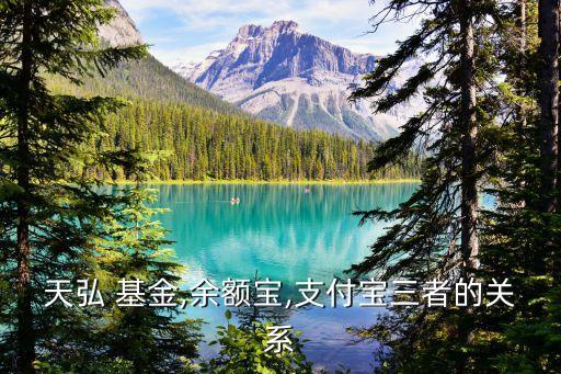 天弘 基金,余額寶,支付寶三者的關系