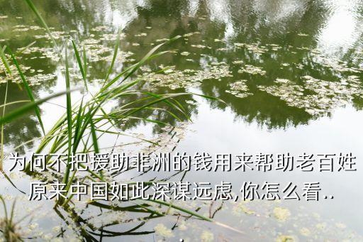 為何不把援助非洲的錢用來(lái)幫助老百姓原來(lái)中國(guó)如此深謀遠(yuǎn)慮,你怎么看...