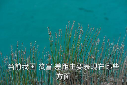 當前我國 貧富 差距主要表現在哪些方面