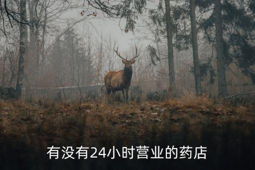 有沒(méi)有24小時(shí)營(yíng)業(yè)的藥店