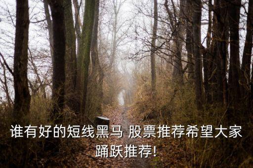 誰(shuí)有好的短線(xiàn)黑馬 股票推薦希望大家踴躍推薦!