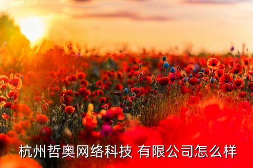  杭州哲奧網(wǎng)絡科技 有限公司怎么樣