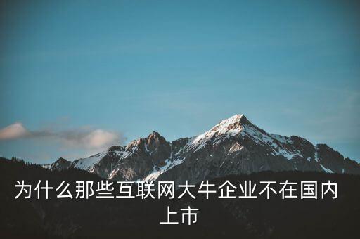 為什么那些互聯網大牛企業(yè)不在國內 上市