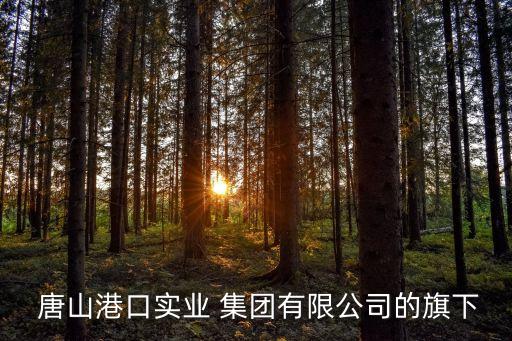  唐山港口實業(yè) 集團(tuán)有限公司的旗下