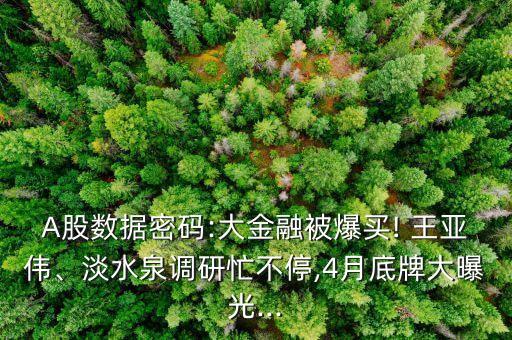 A股數(shù)據(jù)密碼:大金融被爆買! 王亞偉、淡水泉調(diào)研忙不停,4月底牌大曝光...