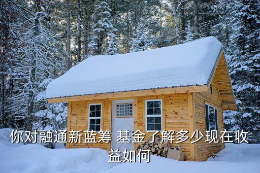 你對融通新藍籌 基金了解多少現在收益如何