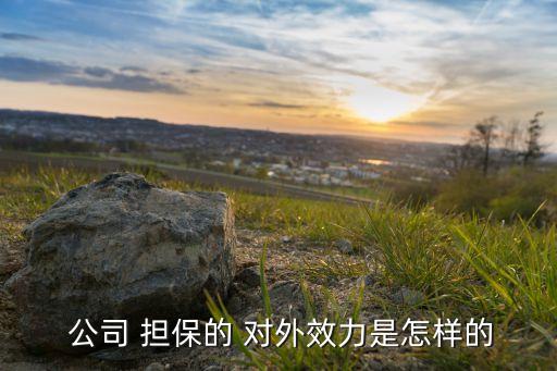 擔保公司對外擔保