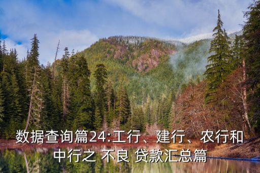 數(shù)據(jù)查詢篇24:工行、建行、農(nóng)行和中行之 不良 貸款匯總篇