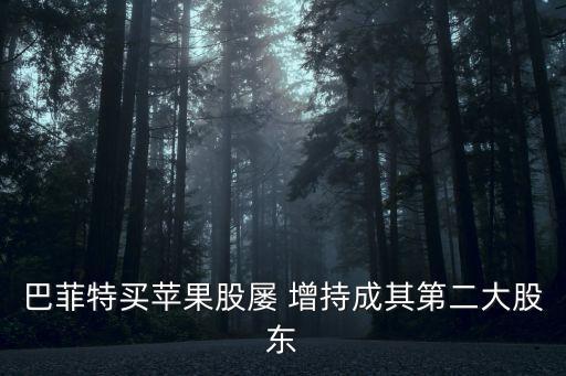 巴菲特買(mǎi)蘋(píng)果股屢 增持成其第二大股東