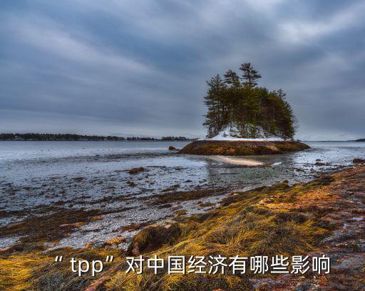 “ tpp”對中國經濟有哪些影響