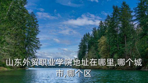 山東外貿(mào)職業(yè)學院地址在哪里,哪個城市,哪個區(qū)