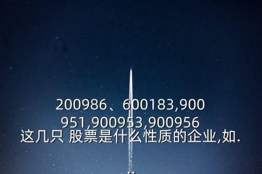 200986、600183,900951,900953,900956這幾只 股票是什么性質(zhì)的企業(yè),如...