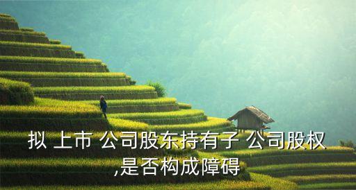 擬 上市 公司股東持有子 公司股權,是否構成障礙