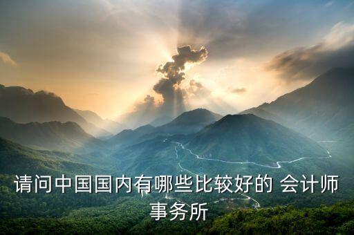 請問中國國內(nèi)有哪些比較好的 會計(jì)師 事務(wù)所