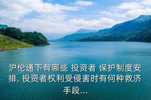 滬倫通下有哪些 投資者 保護制度安排, 投資者權利受侵害時有何種救濟手段...